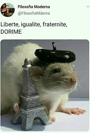 Memedroid Funny Memes Cartoon Memes Sao Memes