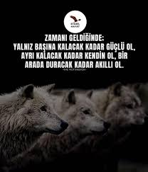 Motivasyon Sozleri Motivasyonunuzu Yukseltecek Icerikler Stabilhayat 2020 Motivasyon Motivasyon Sozleri Motive Edici Alintilar