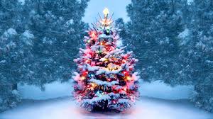 History Of Christmas Trees History