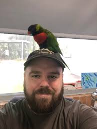 Lost cat found at North Beach Diggies with silver collar