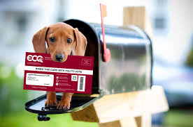 State Election 2020 Your Vic Is On Its Way 1015fm