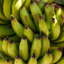 Image result for Musa Cavendish