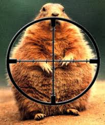 The groundhog, Punxsutawney Phil, better NOT see his shadow ...