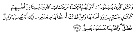 Satu ayat yang sangat mudah untuk kita gunakan untuk berdakwah. Al Quran English Translation Ù¤Ù¥ Page Number 45