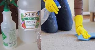 Do this with the windows open to help speed up drying time. How Do You Clean Carpet With White Vinegar Hello Lidy