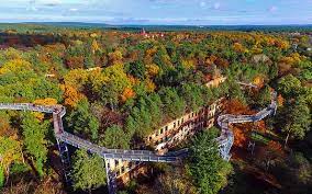 „baum & zeit nennt sich das gelände, das im september 2015 eröffnet worden ist. Treetop Walk Baum Zeit Baumkronenpfad Flaming Beelitz Heilstatten