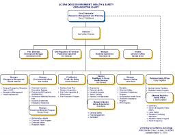 10 organizational chart of restaurant resume samples