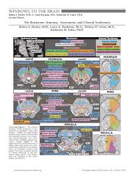 Cranial nerve nuclei red nucleus substantia nigra. Pdf The Brainstem Anatomy Assessment And Clinical Syndromes