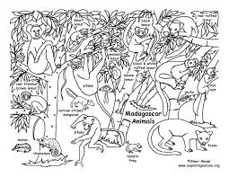 If you loved the madagascar movie, you'll love our coloring pages. Madagascar Coloring Page