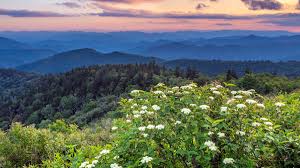 Explore the best info now. The Ultimate Great Smoky Mountains Travel Guide Outside Online