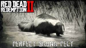 Today we take a look at the location of the skunk in red dead redemption 2, as well as the weapon needed to get a perfect pelt + what it can be traded for. Red Dead Redemption 2 Perfect Skunk Pelt Youtube