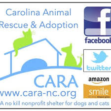 Maybe you would like to learn more about one of these? Carolina Animal Rescue Adoption Animal Shelters 42 Deep River Rd Sanford Nc Phone Number