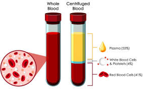 Image result for Blood Volume
