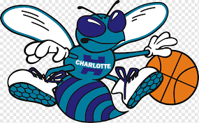 Click the logo and download it! History Of The Charlotte Hornets New Orleans Pelicans Miami Heat 2001 02 Nba Season Orlando Magic Sport Team Logo Png Pngwing