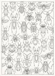We did not find results for: Colouring Books For Adults Paperblog Bug Art Insect Art Bug Coloring Pages