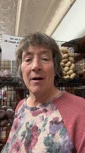 The Shepherd's Studio