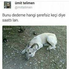 Pin On Funnytexts