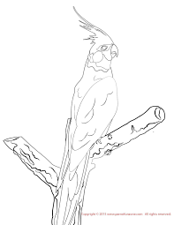 Cockatiel Coloring Page Bird Coloring Pages Coloring Pages Valentines Day Coloring Page