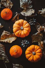 Iphone wallpapersiphone ringtonesandroid wallpapersandroid ringtonescool backgroundsiphone backgroundsandroid backgrounds. 50 Fall Iphone Wallpapers That Ll Instantly Make You Feel Cozy