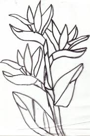 Simple Bird Of Paradise Drawing Bird Of Paradise Drawing Your Own Pattern Birds Of Paradise Flower Birds Of Paradise Flower Painting