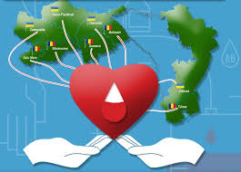 Nettkamera i nærheten av baia mare. Europe For You You For Life Be A Donor In Baia Mare European Cooperation Day