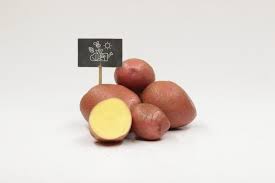 Elle porte aussi le nom de hénault et de boulangère. Pommes De Terre Chair Farineuse Alouette Legumes Bio Louvain La Neuve