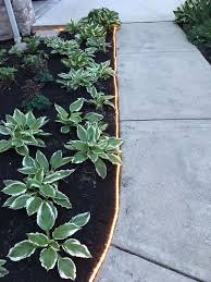 No notifications are working with edge lighting with or without the fix app and with or without the screen on. 40 Stylish And Inspiring Garden Edging Ideas Digsdigs