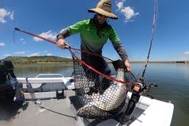 It encompasses agricultural and mining. Catch A Big Barramundi At Lake Callide Pro Team Tips Railblaza
