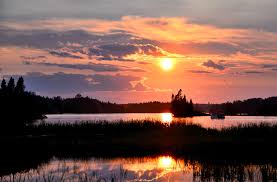 What made you want to look up crawdad? 5 Beautiful Where The Crawdads Sing Quotes Shortform Books