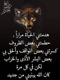 pin by فلسطينية ولي الفخر on روائع الحكم snapchat picture talking quotes diy cardboard furniture