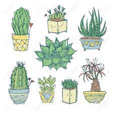 Learn how to draw succulents with lots of cute and easy to draw doodle ideas. Hand Drawn Illustration Set Of Cute Cactus And Succulents Royalty Free Cliparts Vectors And Stock Illustration Image 64972541