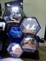 Pin On Animals Tarantula Enclosures