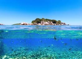 A citizen of seychelles shall mean any person who holds the citizenship of seychelles Proaktivdirekt Eletmod Magazin Es Hirek Seychelles Islands Ecotourism Places To Travel