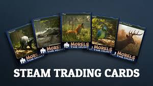 Steam trading cards are a digital commodity issued by valve for use on its digital distribution platform, steam. Steam Trading Cards Abrams Studios