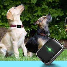 Turkish Tanitim Promosyon Turkish Online Alisveris Kedi Gps Alibaba Com