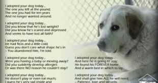 Click Here To Support Tangi Humane Needs Your Help By Gail Digby Rescue Quotes Dog Quotes Dogs
