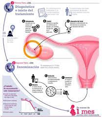 Los Tratamientos De Fertilidad Mas Conocidos