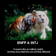 Introducing Neuroscience And Relationships Albino Animals Animals Animals Beautiful