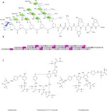 What plant cell structure enables it to carry out this function. Phenolic Cross Links Building And De Constructing The Plant Cell Wall Natural Product Reports Rsc Publishing