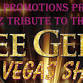 Madsen Brothers Tribute To The Bee Gees event in Blenheim