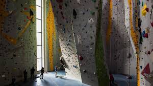 Für gute körperspannung, eine stabile schulter und zur verletzungsvermeidung. Sportklettern Wird Olympisch Nicht Der Gipfel Lockt Sondern Medaillen Archiv