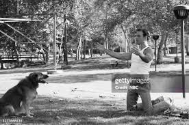 42 Phillip Collier Stock Photos, High-Res Pictures, and Images