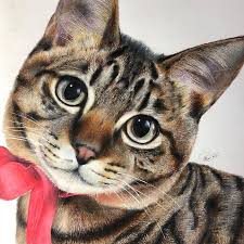 Learn how to draw realistic cat pictures using these outlines or print just for coloring. 23 Hyper Realistic Artworks Of Cats That Are Hard To Believe Aren T Photographs By A Japanese Artist Bored Panda
