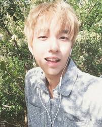 Holland Holland Kpop Kpop Idol