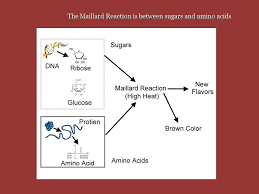 Millard Reaction Chemical Reaction The Millard Reaction Cerveza