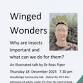 Winged Wonders - Why are insects important and event image