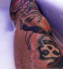 He is of german and weidman met gabriel monsta toribio while attending hofstra who invited weidman to come to matt. Henrique Fogaca S 27 Tattoos Their Meanings Body Art Guru