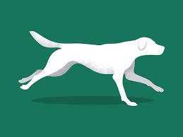 Dog Run Dog Runs Running Illustration Dog Art