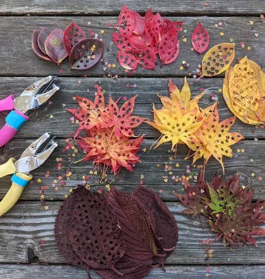 fall confetti