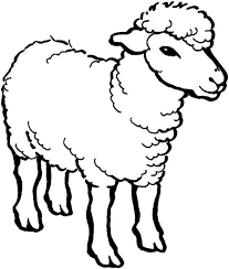 Alpha Male Sheep Coloring Page Sheep Paintings Coloring Pages Sheep Drawing